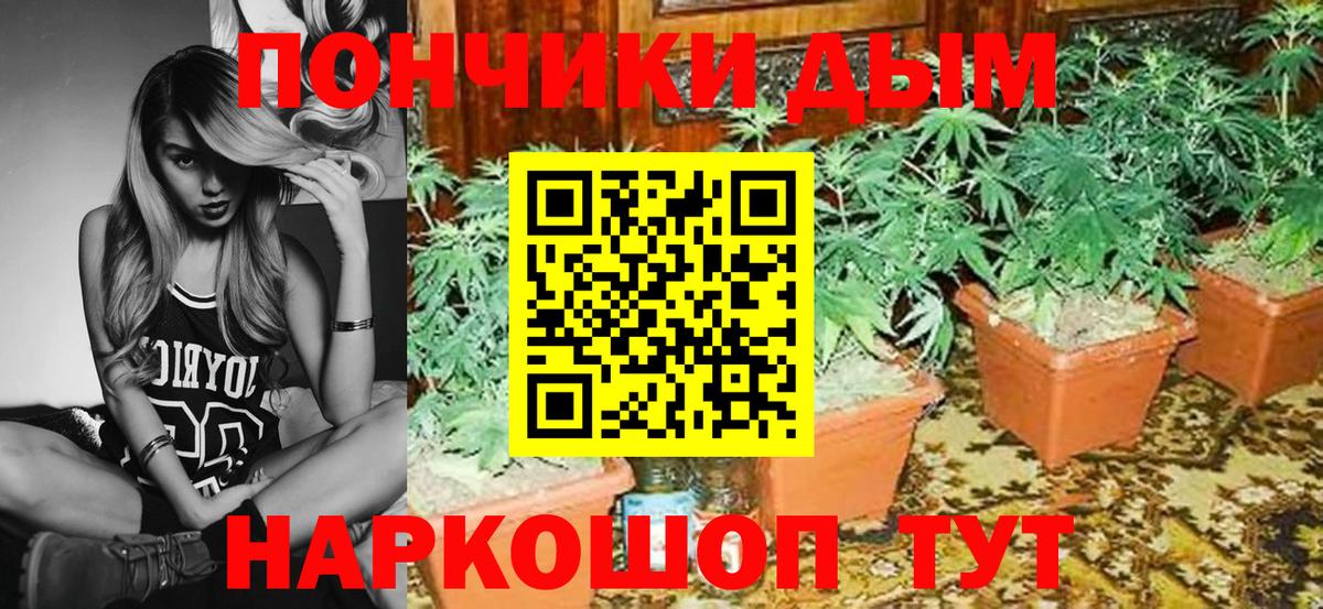 Шишки марихуана Amnesia  МАРИХУАНА индика  Бошки марихуана Ganja  Вход с VPN  Азов 